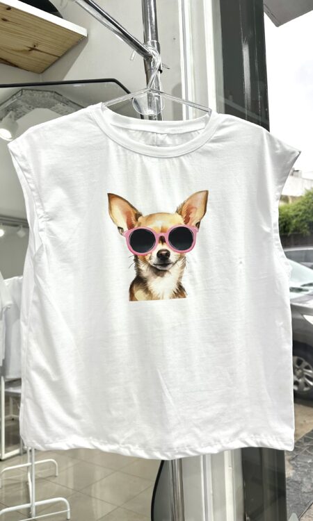 CHIWAWA CON ANTEOJOS