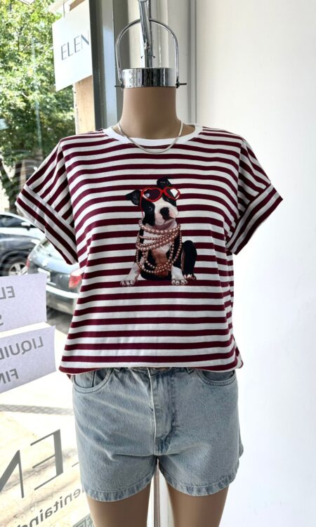 FRENCH COLLAR RAYADO